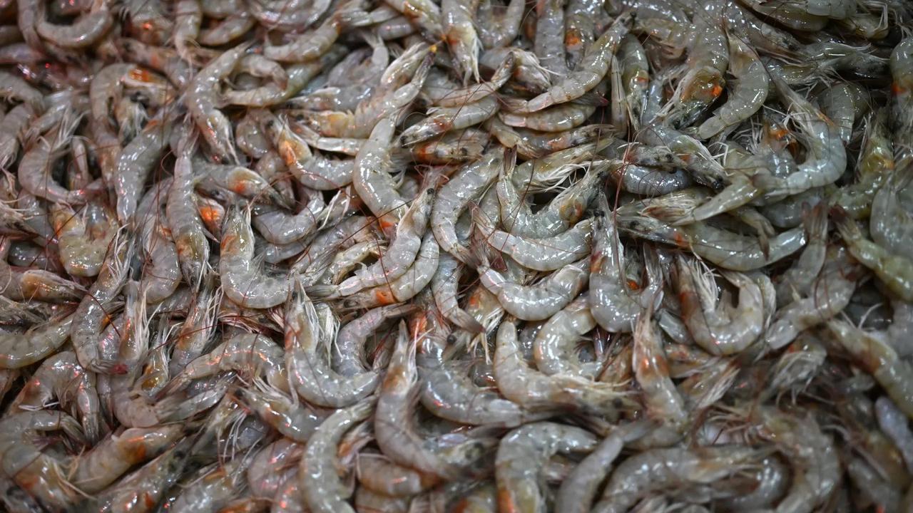 FDA Recalls Frozen Shrimp Suspected of Being Radioactive at Walmart, Originated in Indonesia?