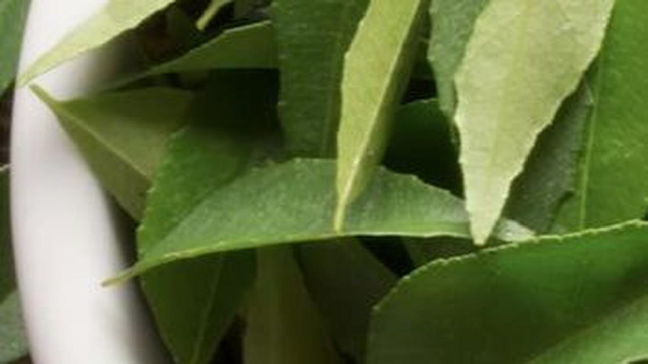7. Daun Kari