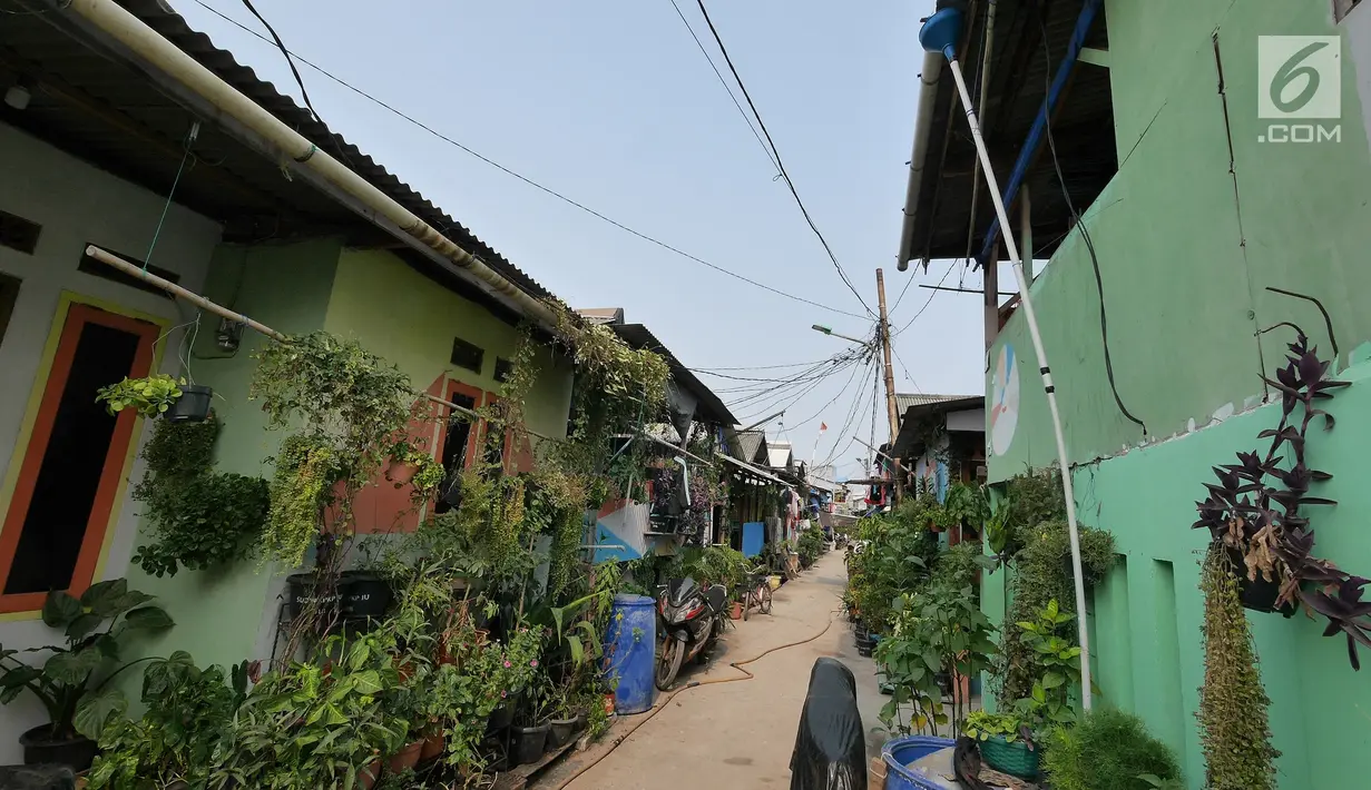 Suasana Kampung Kamal Muara, Jakarta, Selasa (9/7/2019). Sebagian besar warga Kampung Kamal Muara memasang pipa pada talang air di tepi atap rumah mereka untuk menampung air hujan. (Liputan6.com/Herman Zakharia)