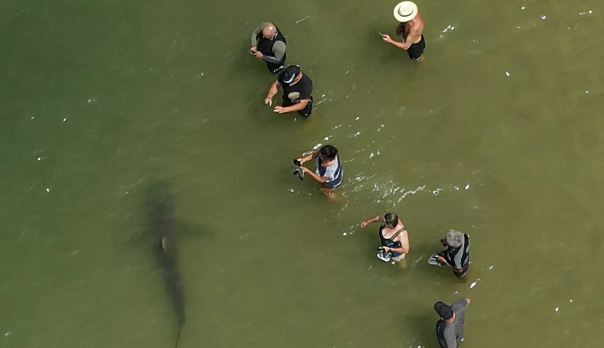 Pemandangan udara orang-orang menggunakan ponsel untuk merekam hiu yang berenang melewati perairan Laut Mediterania yang dangkal di lepas pantai kota Hadera di utara Tel Aviv, Israel, Selasa (20/4/2021). Pihak berwenang memperingatkan penduduk agar menjauh dari hiu-hiu tersebut  (JACK GUEZ/AFP)