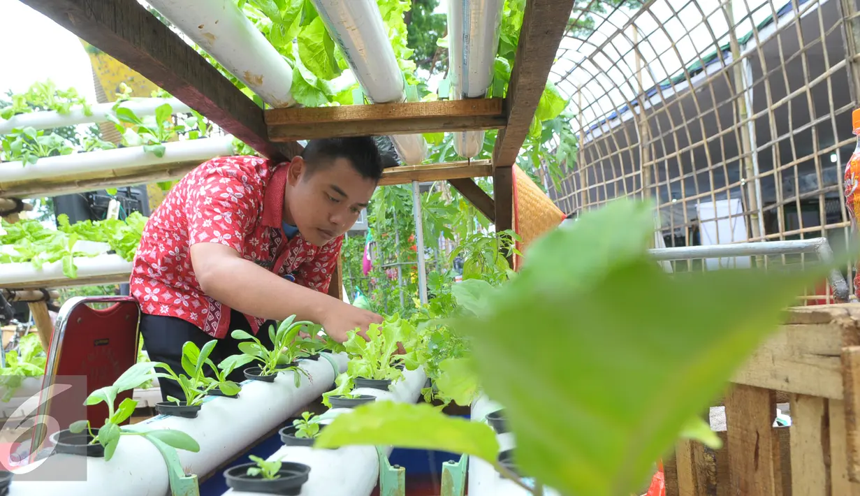 Seorang narapidana mengecek tanaman saat Festival Napi Berkebun (FNB) 2015 di Pasar Festival Gelanggang Olahraga Soemantri Brodjonegoro, Kuningan, Jakarta Selatan, Jumat, (18/12/15). (Liputan6.com/Faisal R Syam)