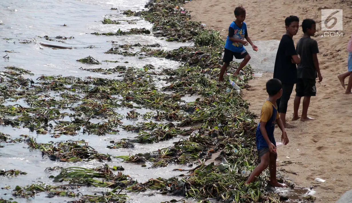 Anak-anak bermain di pinggir pantai Kelurahan Pohe yang dipenuhi eceng gondok, Gorontalo, Jumat (22/2). Tanaman ini berasal dari Danau Limboto yang terbawa arus sungai hingga ke Teluk Gorontalo dan memenuhi pinggiran pantai. (Liputan6.com/Arfandi Ibrahim)