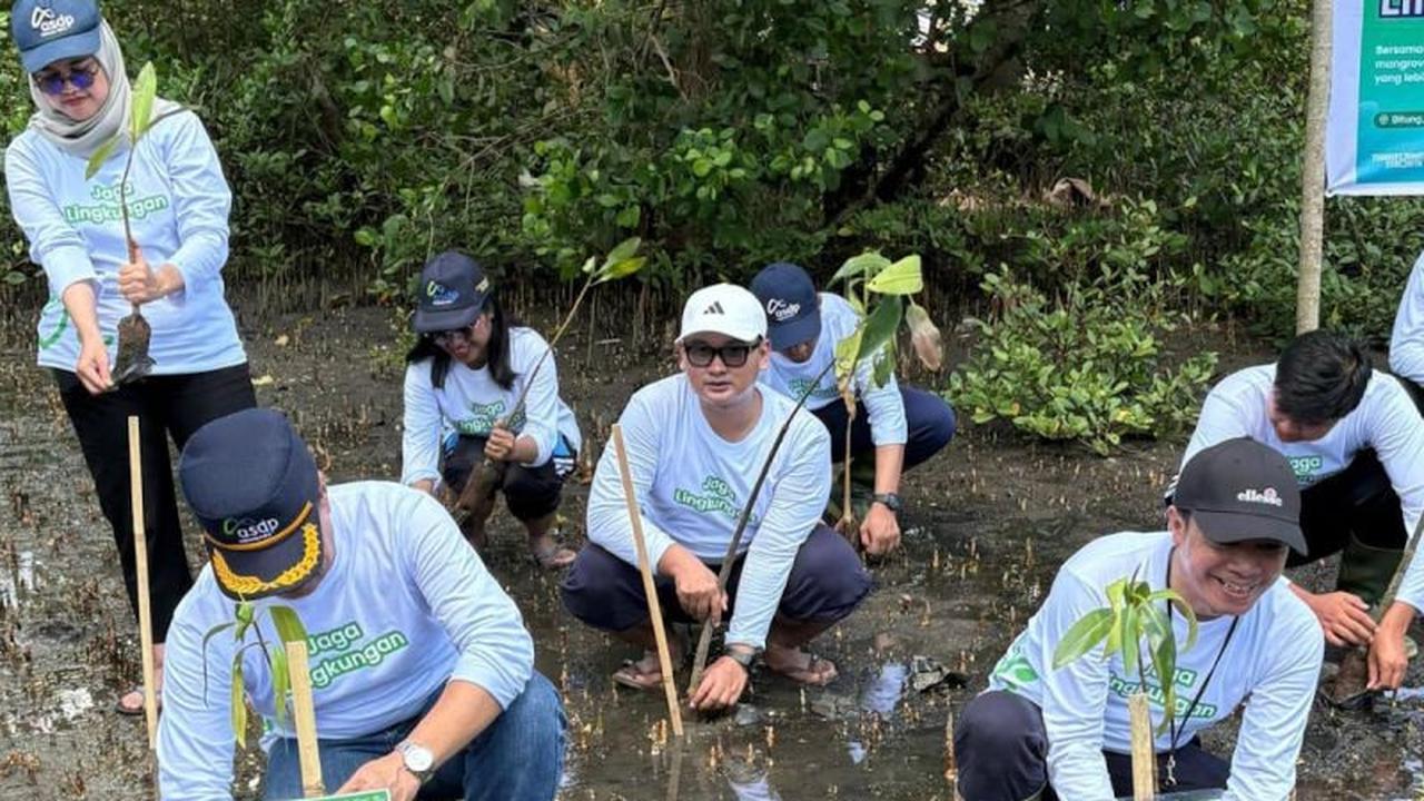 ASDP Perkuat Ekosistem Pesisir Mawali dengan Penanaman Mangrove 3.000 Bibit
