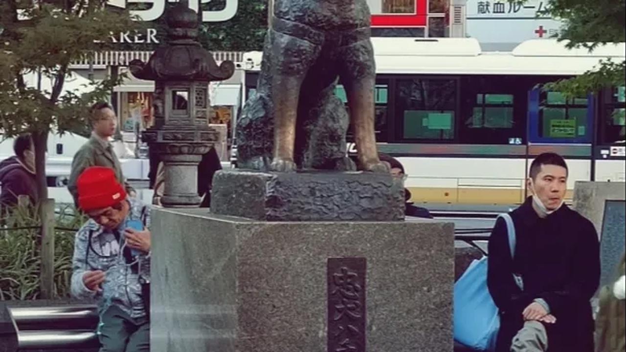 9 Fakta Menarik Patung Hachiko di Shibuya yang Kini Berulang Tahun Ke-100