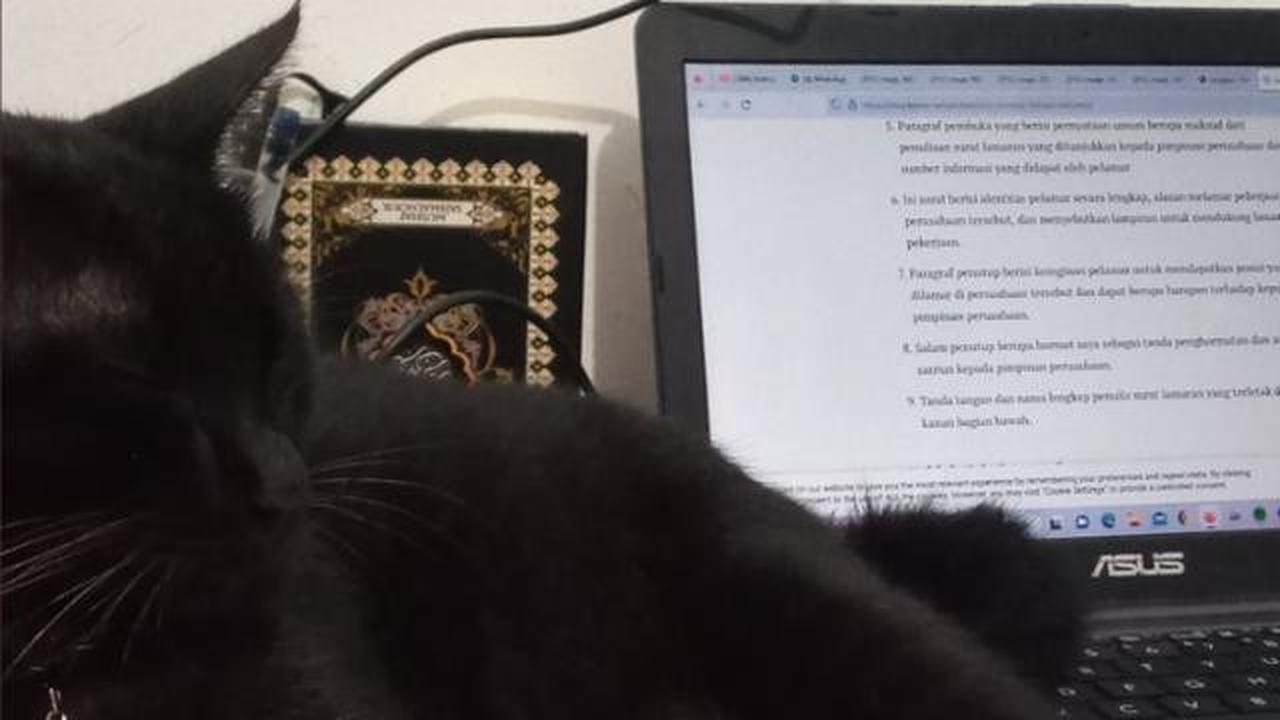 Mengapa Kucing Suka Duduk di Laptop? Ini Penjelasannya