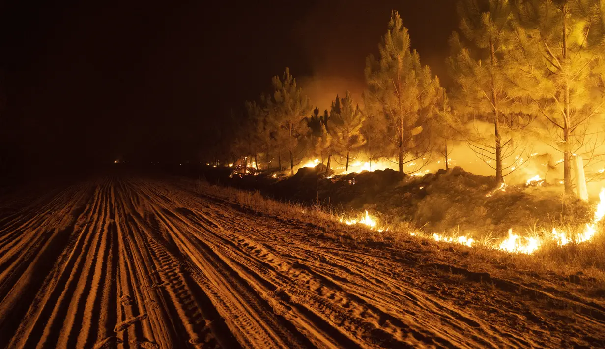 Kebakaran menghanguskan hutan di dekat Ituzaingo di provinsi Corrientes Argentina, Sabtu (19/2/2022). Kebakaran telah menghanguskan lebih dari setengah juta hektar. (AP Photo/Rodrigo Abd)