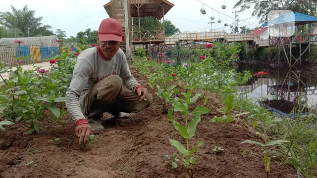 pagi kalimantan