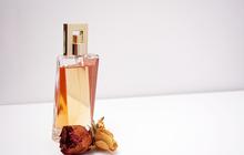 10 Rekomendasi Parfum dengan Harga Terjangkau untuk Wanita