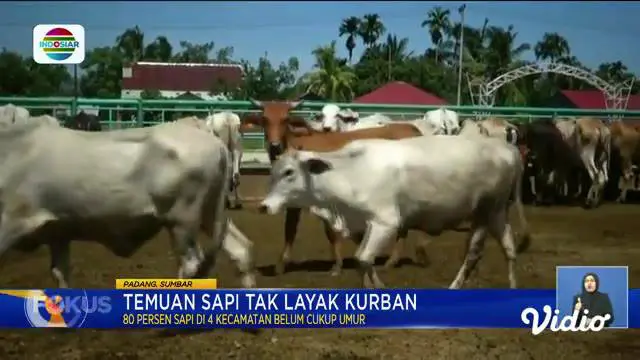 Fokus : Mudik Idul Adha Mulai Ramai di Terminal Kalideres