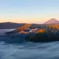 Terkenal akan spot edelweis yang cantik, Taman Nasional Bromo-Tengger-Semeru dapat menjadi opsi untuk melakukan pendakian. (Foto: Unsplash.com/Kevin Zhang)