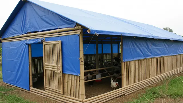 Model Kandang Ayam Close House Versi Rumahan/Gemini AI