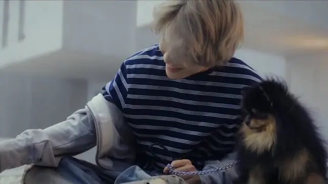 V BTS