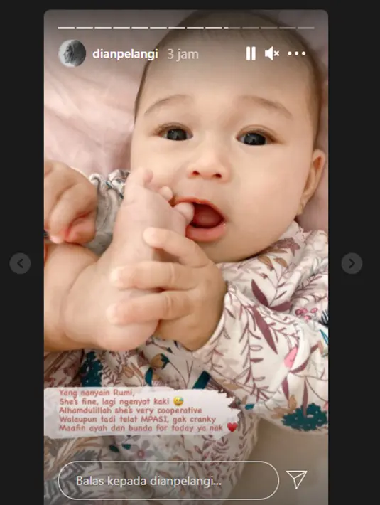 (Instagram/dianpelangi)