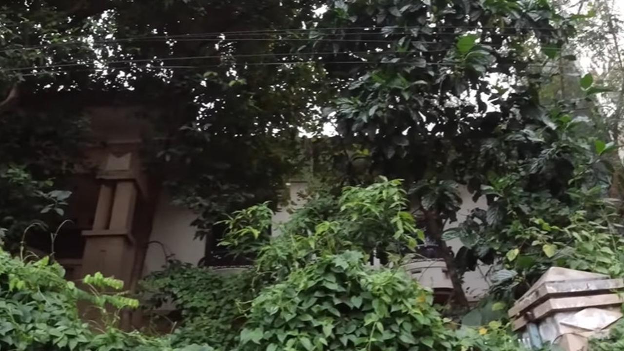 Kini Sudah Rapi dan Bersih, Begini Kondisi Terbaru Rumah Tiko yang Pernah Viral di Medsos