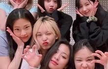 Mengenal BABYMONSTER, Debut yang Dinanti-Nanti