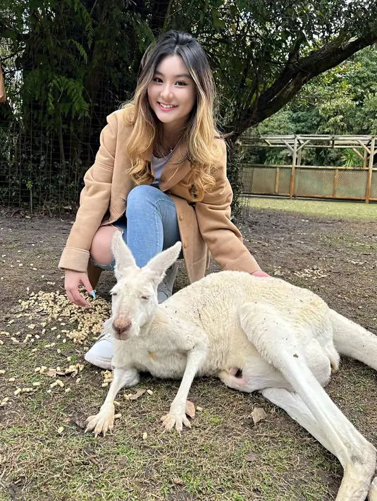 Liburan ke Australia tentu akan kurang rasanya bila belum berjumpa dengan hewan Kanguru. Hewan yang menjadi ikon dari Australia ini pun memiliki penampilan yang lucu dan menggemaskan saat sedang jinak seperti ini. Tidak lupa, Shanon pun abadikan momen seru tersebut dalam media sosial Instagramnya. (Liputan6.com/IG/@shannonnwong)