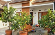 7 Desain Taman Rumah yang Ideal dan Sehat untuk Keluarga, Bikin Hunian Nyaman Ditinggali