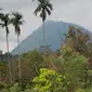 Gunung Tangkit Tebak. (Dok: Gunung Bagging&nbsp;https://www.gunungbagging.com/tebak/)