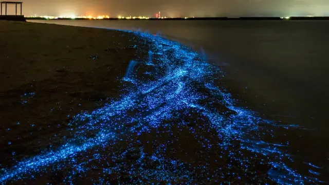 Sea of Stars di Maladewa