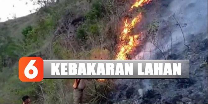 Api Lalap 55 Hektare Lahan Gunung Lakawan