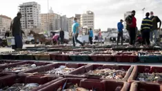 Hasil laut tangkapan nelayan diletakkan di area terbuka saat sejumlah pembeli melihat berbagai hasi laut di kawasan Gaza (23/5/2021). Pelelangan hasil laut di Gaza kembali bergeliat usai sejumlah kapal nelayan diizinkan kembali melaut pasca Israel-Hamas gencatan senjata. (AP Photo/John Minchillo)