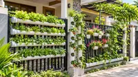 7 Ide Kebun Mini di Pagar Rumah Menggunakan Pipa PVC, Hunian Sejuk dan Asri