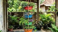 6 Ide Pot Bertingkat dari Baskom Bekas untuk Taman Rumah yang Kreatif dan Hemat Tempat