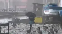 Hujan deras menyebabkan kerusakan parah di kawasan pesisir bagian utara dan selatan Cil, dengan gelombang laut mencapai 10 meter.