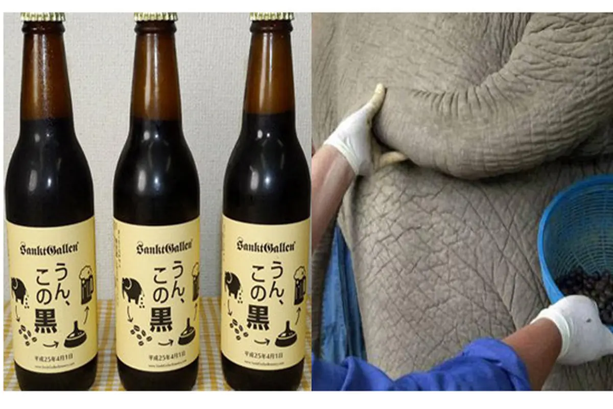 Bir kotoran Gajah