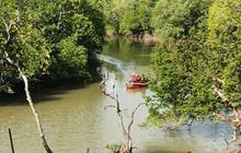 Misteri Sungai Kariangau: Pemancing Diterkam Buaya di Balikpapan Masih Dicari Tim SAR Gabungan