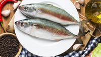Ikan Apa yang Mengandung Protein Paling Tinggi? Ini 15 Rekomendasi Terbaik untuk Diet!