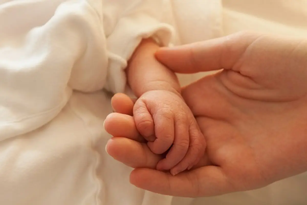 Photo: Copyright teco-baby.com