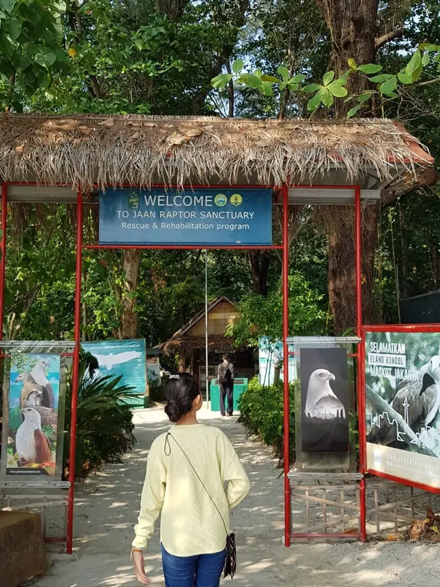 Pelestarian elang bondol oleh pertamina
