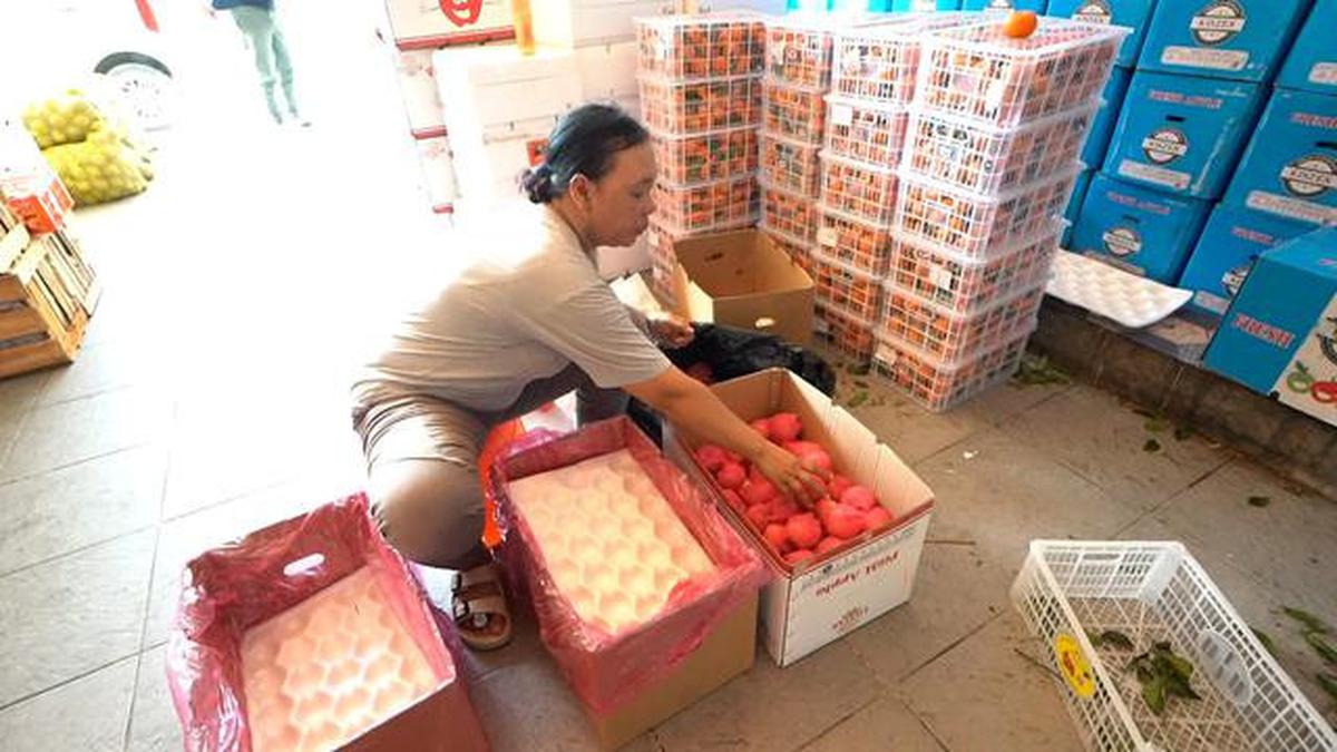Kios Buah Laweyan, Miniatur Sempurna Dampak Keberadaan MBG: Berdayakan Petani Lokal, Angkat Ekonomi Tetangga