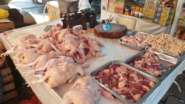 Ayam potong