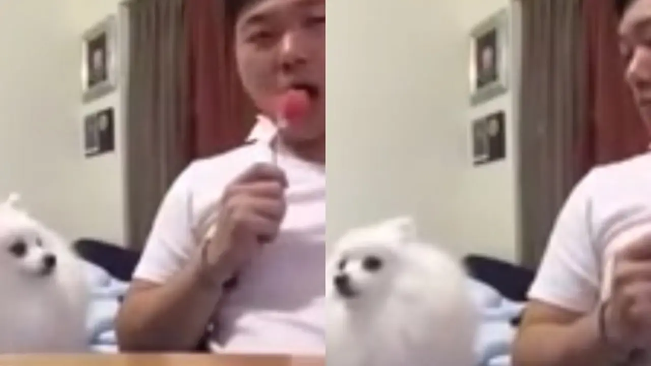 Photo copyright Youtube.com