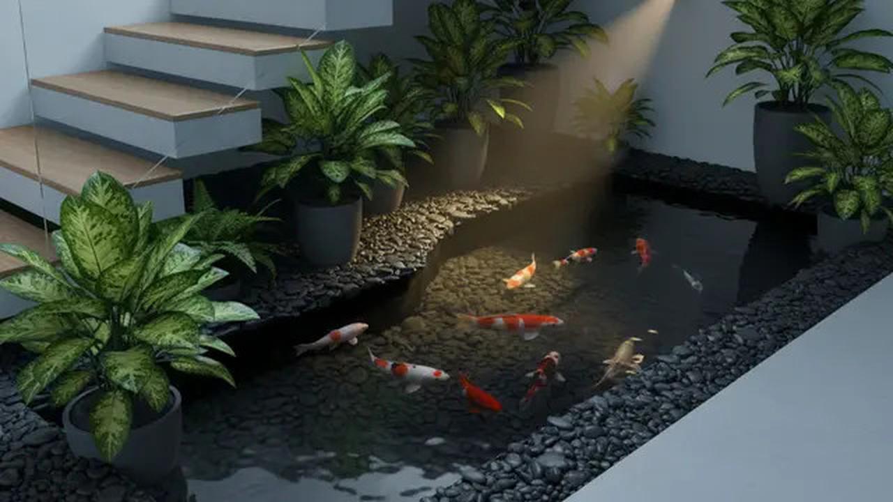 10 Desain Kolam Ikan Mini untuk Taman Kecil, Bikin Rumah Lebih Asri