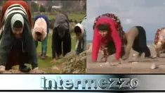 (Liputan6.com)