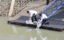 MIND ID Tanam Ratusan Pohon dan Lepas Ikan: Bukti Nyata Komitmen ESG untuk Konservasi Sungai Cipinang