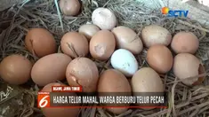Harga telur ayam di wilayah Bojonegoro dan Ngawi, Jawa Timur, semakin merangkak naik. Alhasil, banyak warga yang memburu telur pecah dengan harga lebih murah.