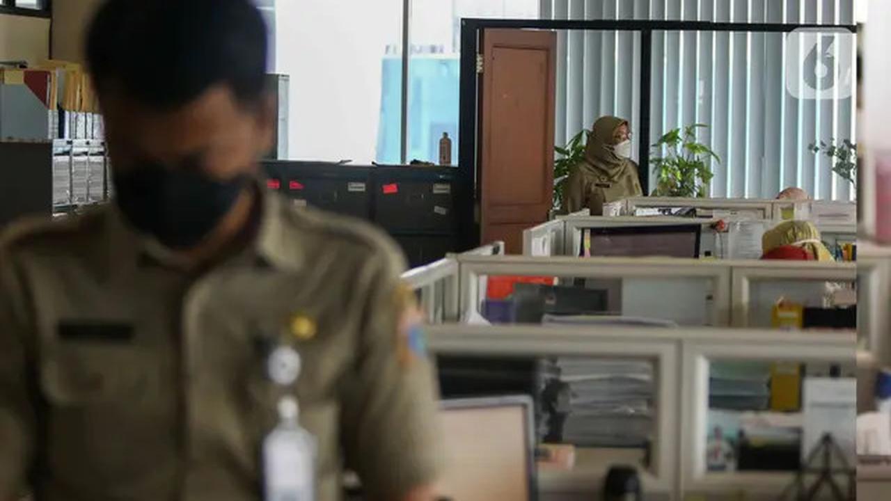 Ini Rincian Perbedaan hingga Batas Usia Daftar CPNS dan PPPK