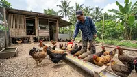 6 Cara Ternak Ayam Kampung Petelur agar Cepat Balik Modal dan Untung Berlipat