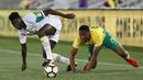 Bek Senegal, Lamine Gassama, berebut bola dengan gelandang Afrika Selatan, Sibusiso Vilakazi, pada laga kualifikasi Piala Dunia 2018 di Stadion The Peter Mokaba, Jumat (10/11/2017). Senegal menang 2-0 atas Afrika Selatan. (AFP/Phill Magakoe)
