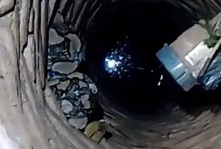 Ular sanca sembunyi di sumur