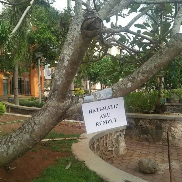 6 Pengumuman Nyeleneh Ini Ditempel di Pohon, Bikin Geleng Kepala
