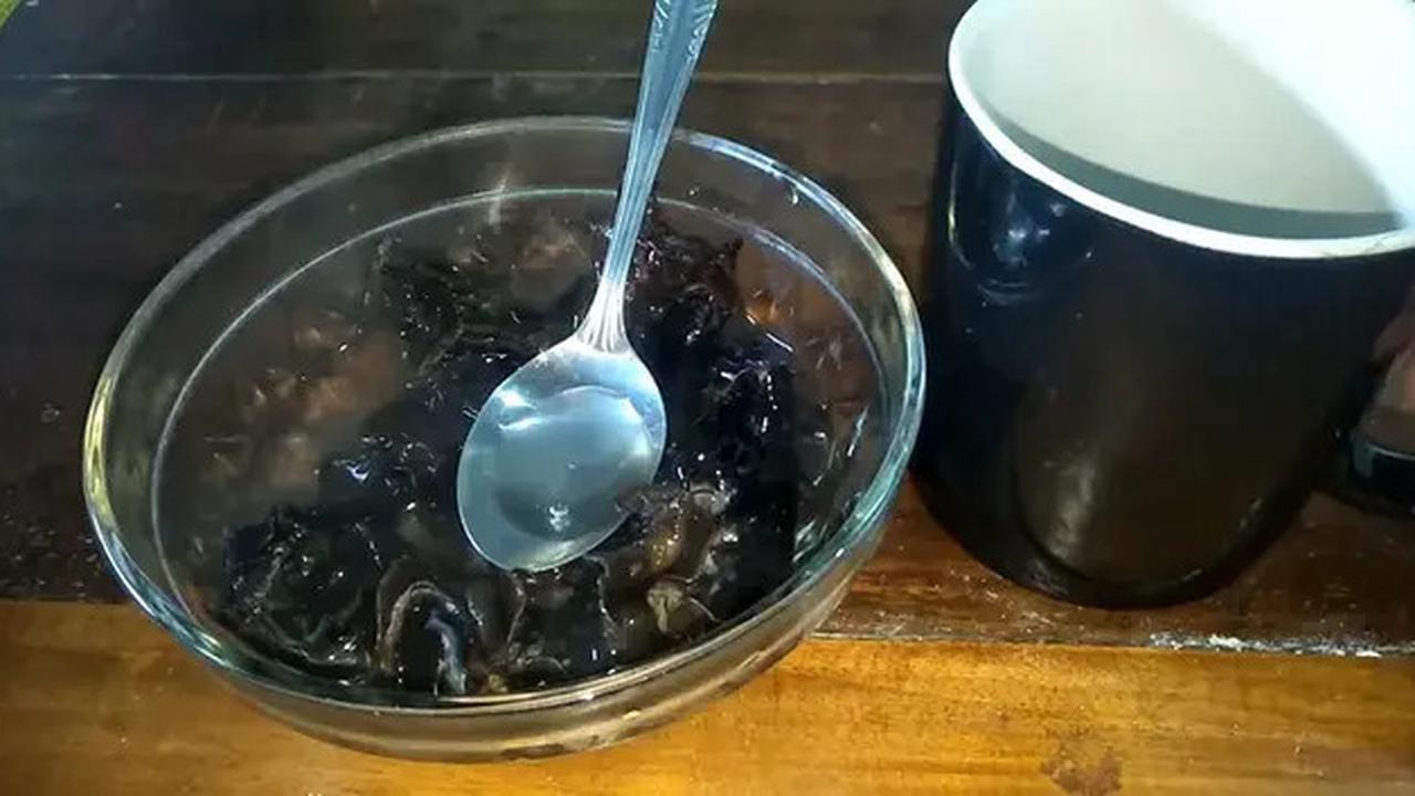 Cara Praktis Menyimpan Jamur Kuping Basah agar Awet hingga 2 Minggu