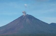 Gunung Semeru Erupsi 8 Kali, Muntahkan Abu Vulkanik hingga 1 Km di Atas Puncak
