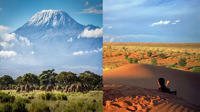6 Persepsi Tentang Negara Afrika yang Belum Tentu Benar