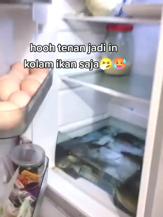 Kulkas Jadi Kolam Ikan