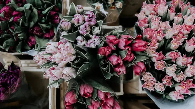 [Quiz] Cek Kepribadian Berdasarkan Bunga Favorit